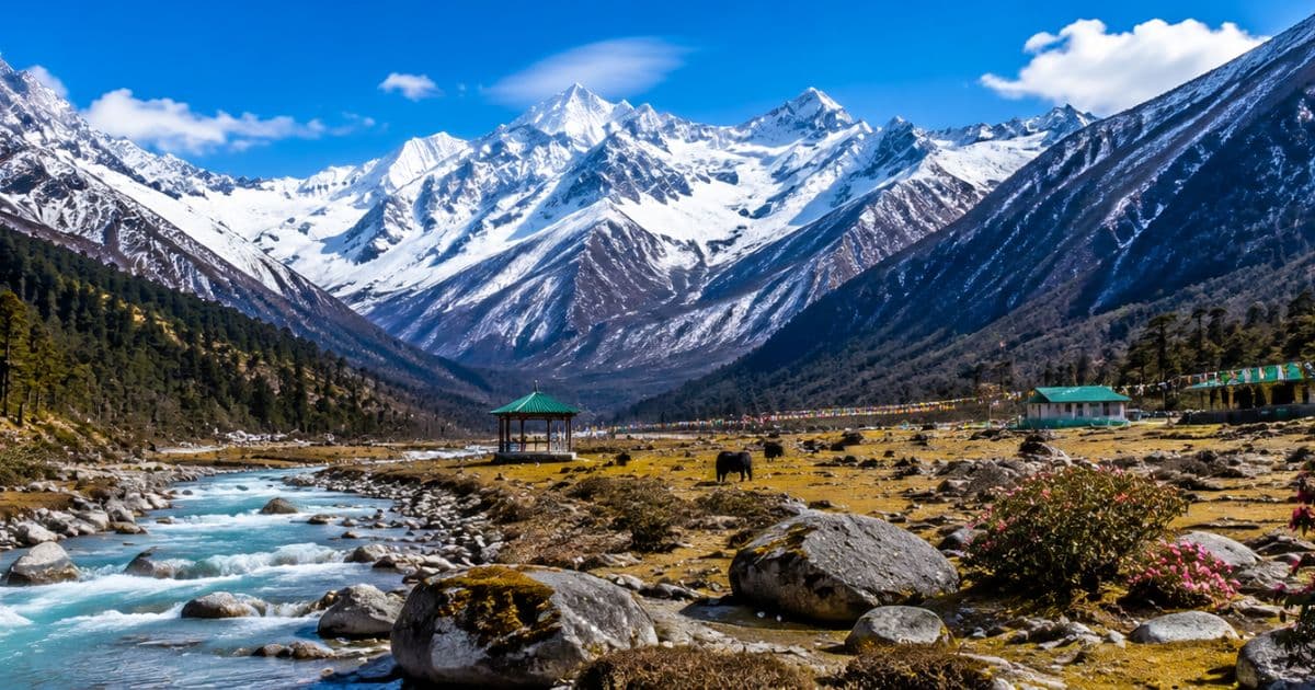 Yumthang Valley (Sikkim)